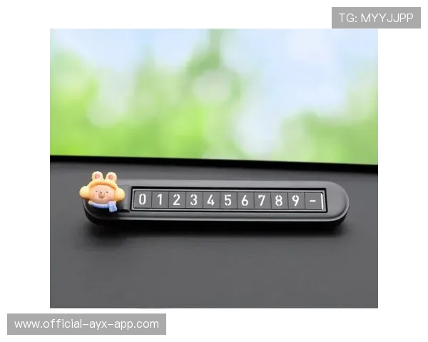 主办城市赛事期间临时停车牌照核发与查验流程，临时停车牌车创意